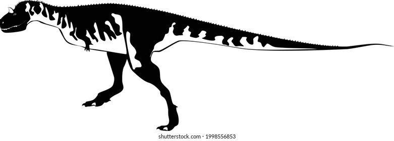 Carnotaurus is a predatory dinosaur. Vector illustration