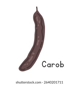 Carob flat vector illustration. Black carob fruit cartoon clipart style isolated on white. Also known as Ceratonia siliqua, locust bean, or St. John's bread. Pods and Legume-like fruit concept