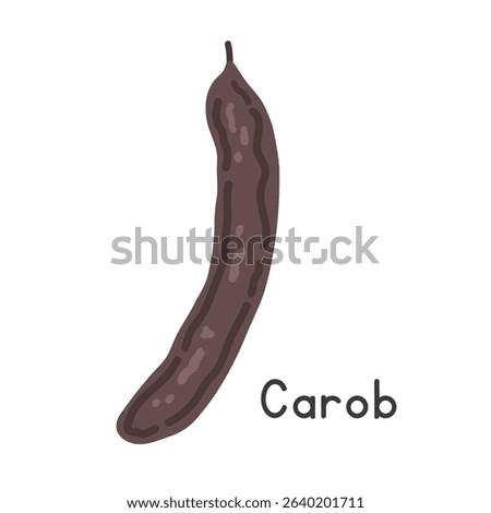 Carob flat vector illustration. Black carob fruit cartoon clipart style isolated on white. Also known as Ceratonia siliqua, locust bean, or St. John's bread. Pods and Legume-like fruit concept