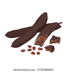 Johannisbrotfrucht, Vektorgrafik. Reife braune Ceratonia Siliqua-Hülsen und Samen einzeln. Gesunder Schokoladenersatz