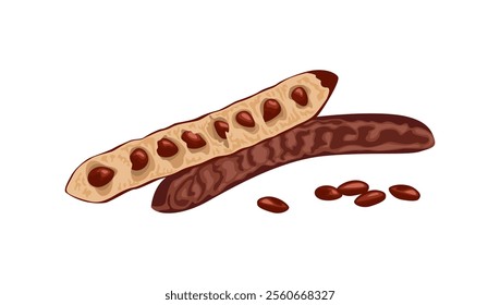 Carob pod bean isolated on white background. Vector cartoon flat illustration. Healthy food icon.