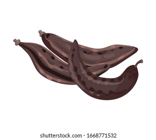Pod de abrochón con semilla dentro aislado en la ilustración de vectores de fondo blanco