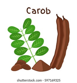 Carob pods, beans, powder, leaves. Superfood. Vegetarian decaffeinated food. Flat vector style.