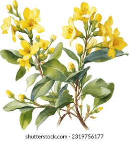 Carolina Jessamine Watercolor illustration. Hand drawn underwater element design. Artistic vector marine design element. Illustration for greeting cards, printing and other design projects.