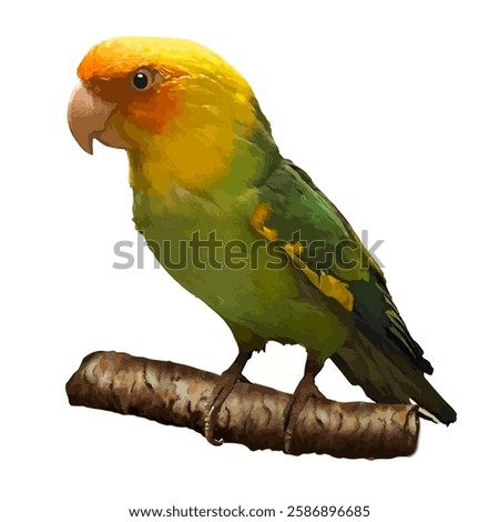 Carolina parakeet, Conuropsis carolinensis, vector illustration on white background