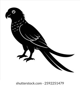 "Carolina parakeet silhouette vector illustration of the extinct North American parrot. Perfect for wildlife projects, educational materials, and conservation awareness. High-quality, scalable design