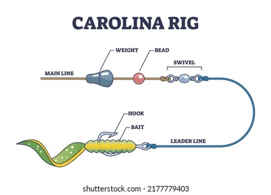 Carolina Rig And Fishing Bait Method For Bass Fish Catching Outline Diagram. Labeled Educational Scheme With Predatory Catch Setup And Installation Vector Illustration. Hook, Bait And Swivel Location.