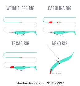 Carolina rig Texas rig, Weightless rig and Neko rig fishing tackle setup schemes for catching bass, pike, perch, zander  and other predatory fish.