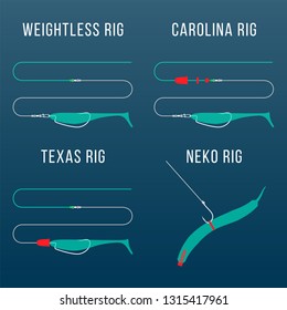 Carolina rigm Texas rig, Weightless ring and Neko rig fishing tackle setup schemes for catching bass, pike, perch, zander  and other predatory fish.
