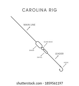 Carolina rigs for for catching predatory fish, Vector Illustration of Effective Fishing Bait
