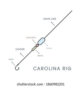 Carolina rigs for for catching predatory fish, Vector Illustration of Effective Fishing Bait