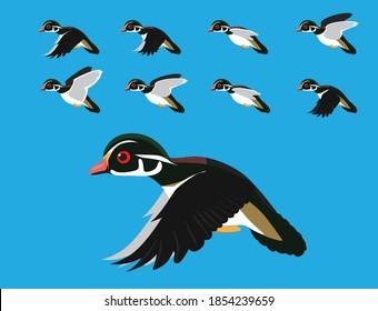 Carolina Wood Duck Flying Animation Sequence Cartoon Vector