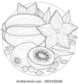 Carom  and kiwi.Coloring book antistress for children and adults. Zen-tangle style.Black and white drawing