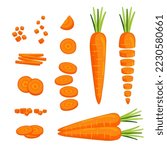Carot Illustration clipart element set