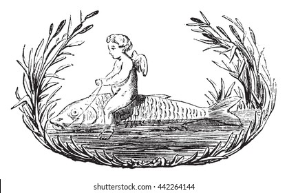 Carp clamped, vintage engraved illustration. Magasin Pittoresque 1852.
