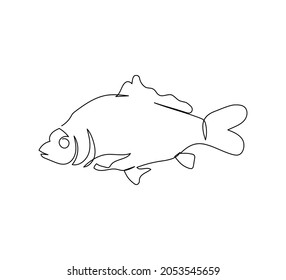 Carp, crucian carp, tinca tinca continuous line drawing. One line art of freshwater fish, seafood, marine animals.
