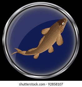 carp (Figure vector icon fish)