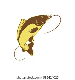 carp fish