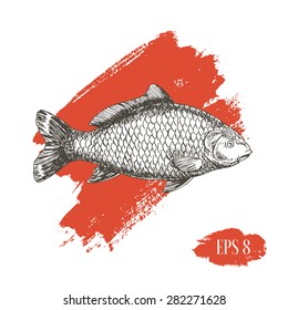 Carp Fish Asian style. Vector illustration