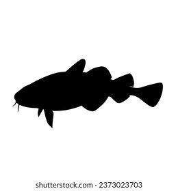 Carp fish black colour design