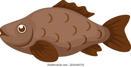 Carp fish. Cartoon image of a fish. River fish. Vector illustration isolated on a white background