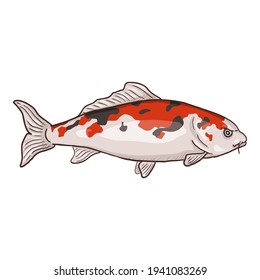 Ilustración del vector de dibujos animados de peces de carpa. Vista lateral.