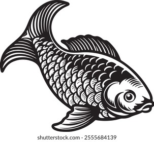 Carp fish drawing vector illustration.