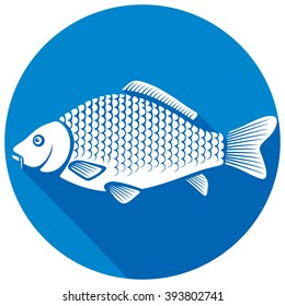 carp fish flat icon 