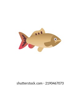 Carp fish flat icon, vector sign, colorful pictogram isolated on white. Symbol, logo illustration. Flat style design