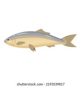 Carp Fish Icon Cartoon Vector. Sea Food. Herring Product