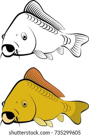 carp fish - line art and color
