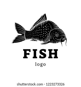 Carp Fish logotype - vector illustration