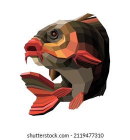 carp fish lowpoly illustration vector design