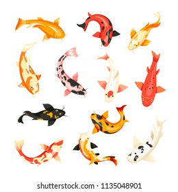 Carp fish vector icons top view