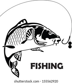 carp fish, vector illustration