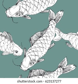carp fish, vector illustration