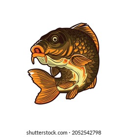 carp fish vector illustration design