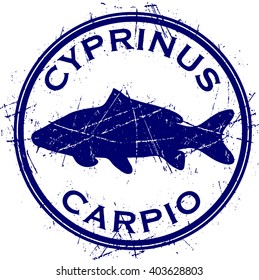 Carp fish vector and illustration. Stamp fish. 
