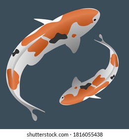Carp fish vector illustration style on blue background 