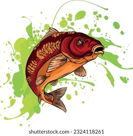 Carp Fish Vector Illustration.Common Carp Illustration. Isolated on white background.