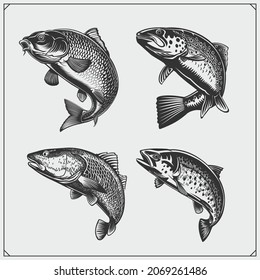 Emblemas y etiquetas de pesca de carpa. Gráficos realistas en blanco y negro.