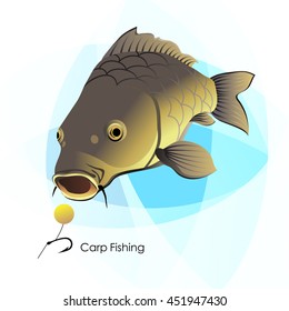 Carp Fishing, fish and lure, vector illustration