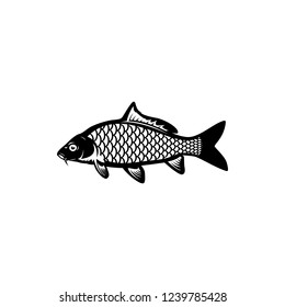 carp fishing vector illustrations