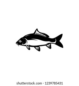 carp fishing vector illustrations
