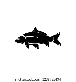 carp fishing vector illustrations