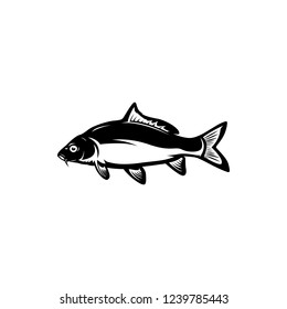 carp fishing vector illustrations