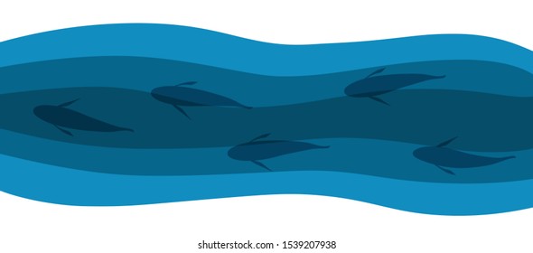 Carp flock in the river. Top view illustration. Fish pattern on white isolated background. Fish migration concept. Flat vector illustration