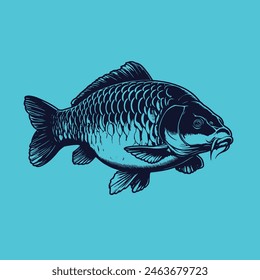 carp, graphic drawing of fish