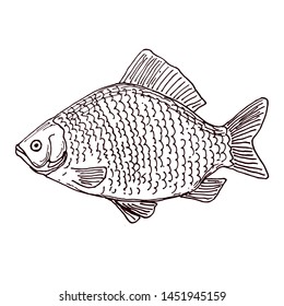 11,491 Silver carp Images, Stock Photos & Vectors | Shutterstock