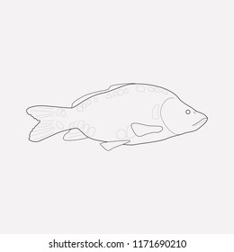 Carp icon line element. Vector illustration of carp icon line isolated on clean background for your web mobile app logo design.